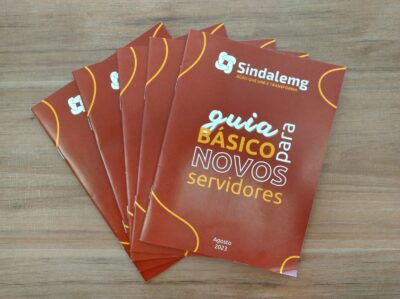 GUIA BÁSICO PARA NOVOS SERVIDORES