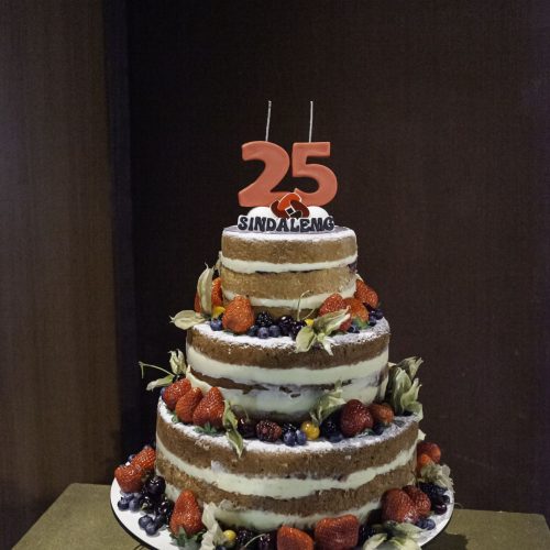 Comemoração dos 25 anos do SINDALEMG-1